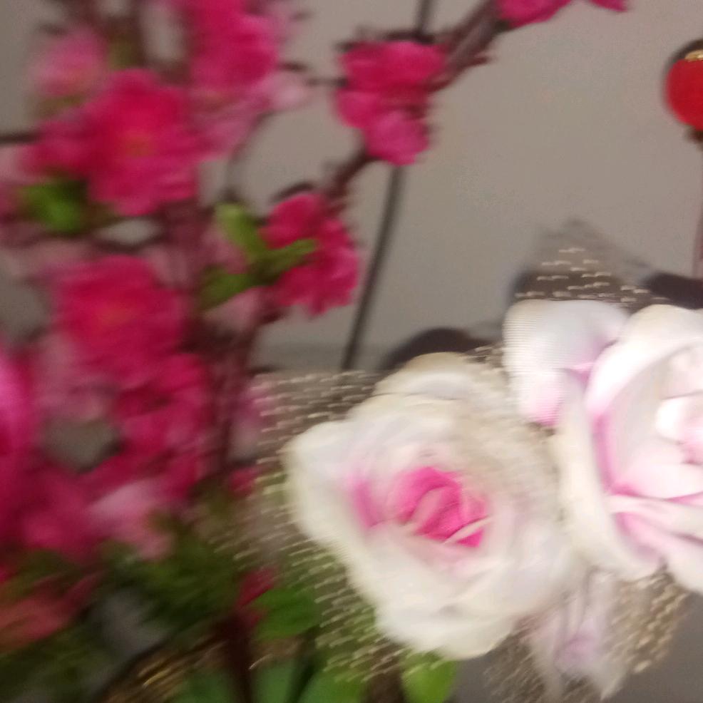 大红皮（新会红姊）