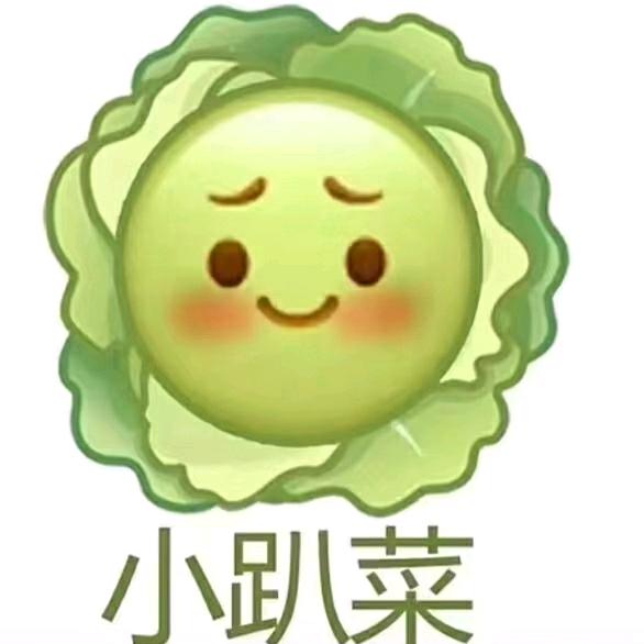 小趴菜（骨头）