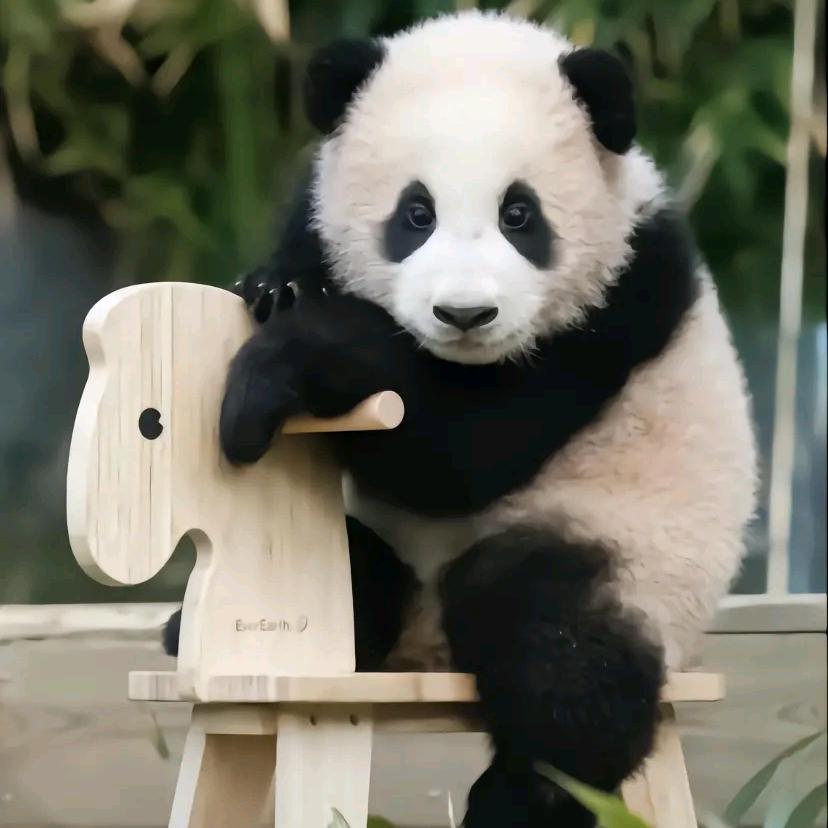 @劉家三小姐