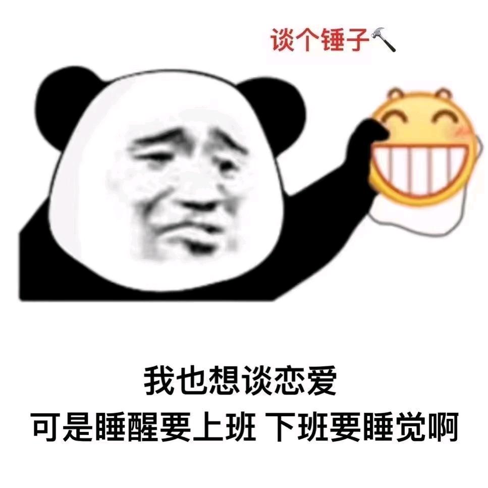 张少侠