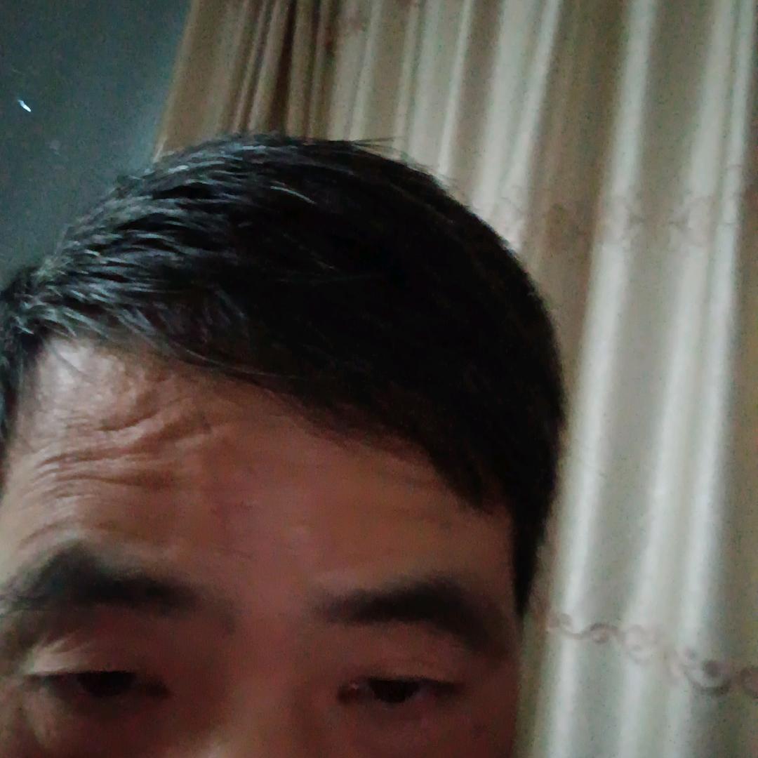 阿伟狸