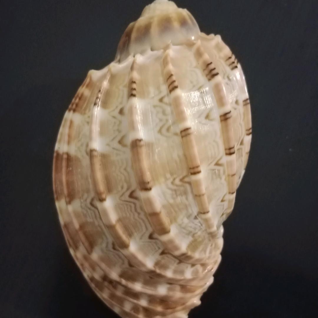 最熟悉的陌生人￥￥￥￥￥￥￥