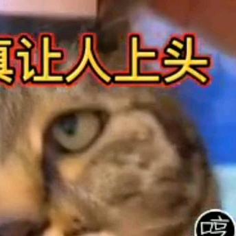 丸子酱