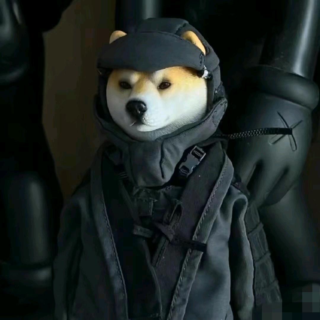 智林