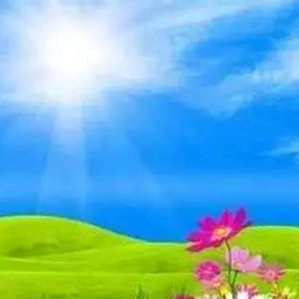 努力奋斗，实现梦想