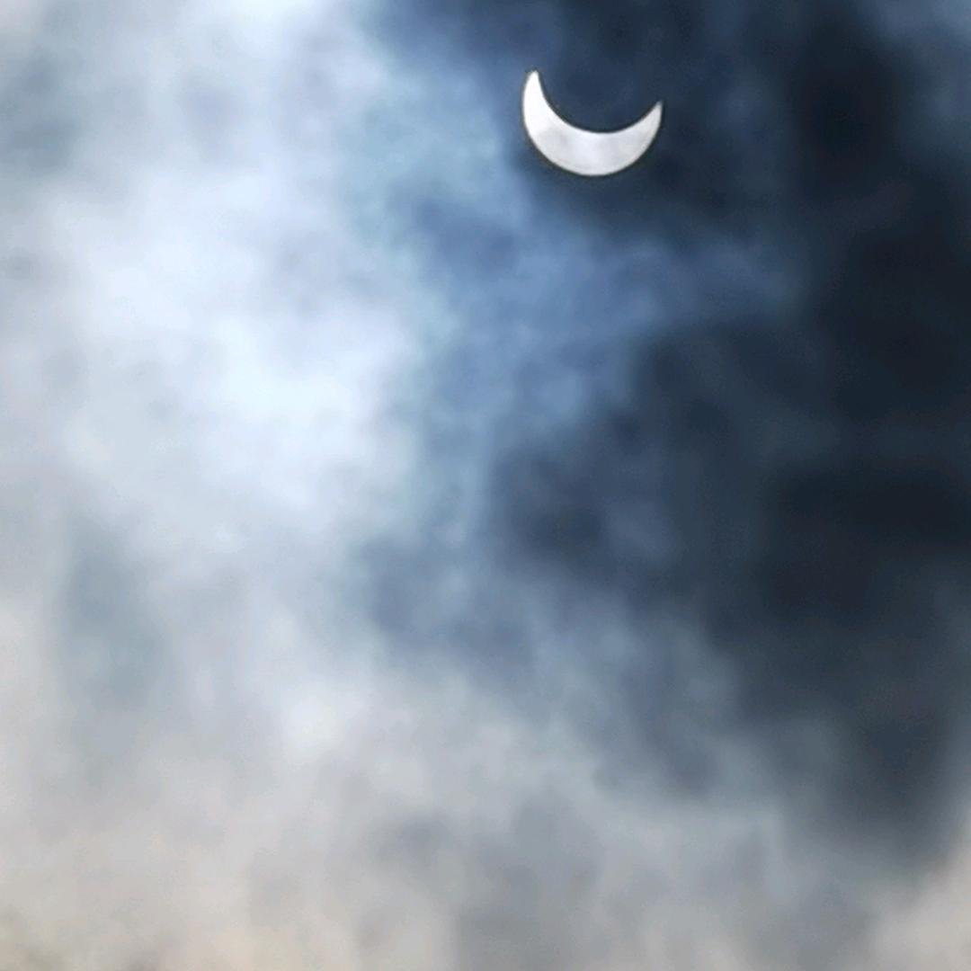 o 义(◡‿◡）✿