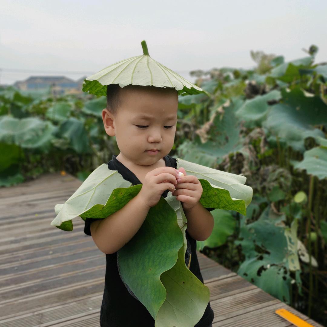 侯小老