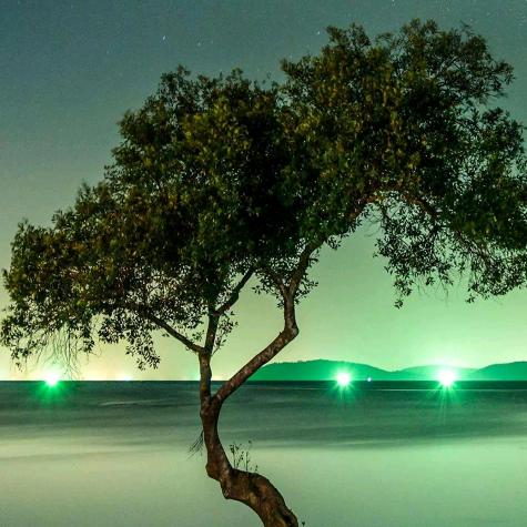 一缕阳光
