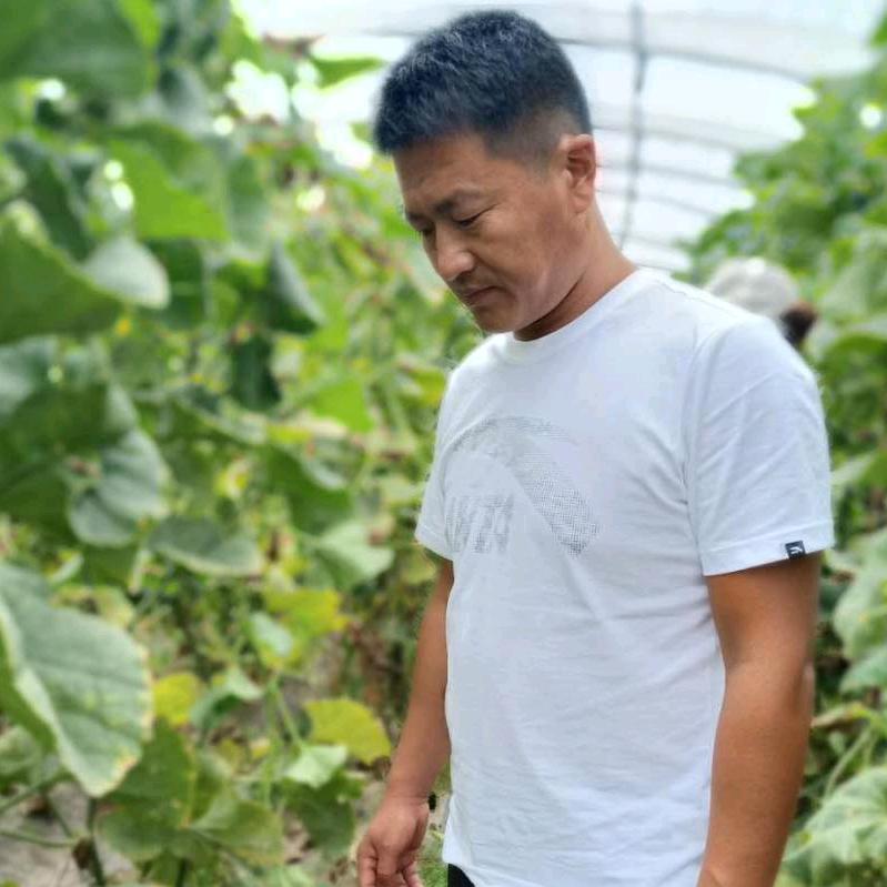 高强千亩南瓜香瓜