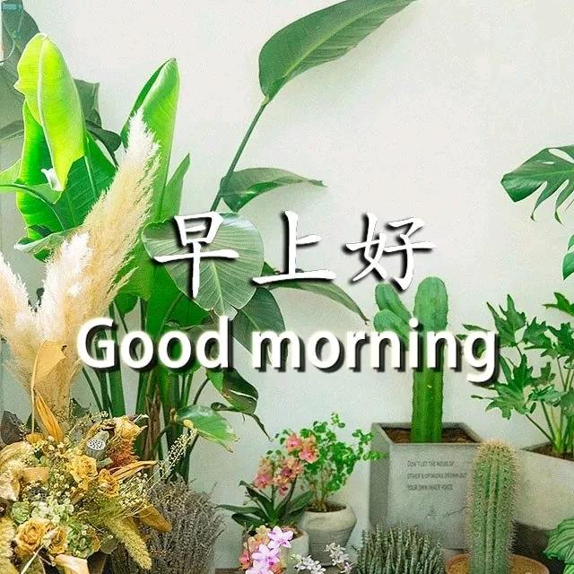 李家五姐