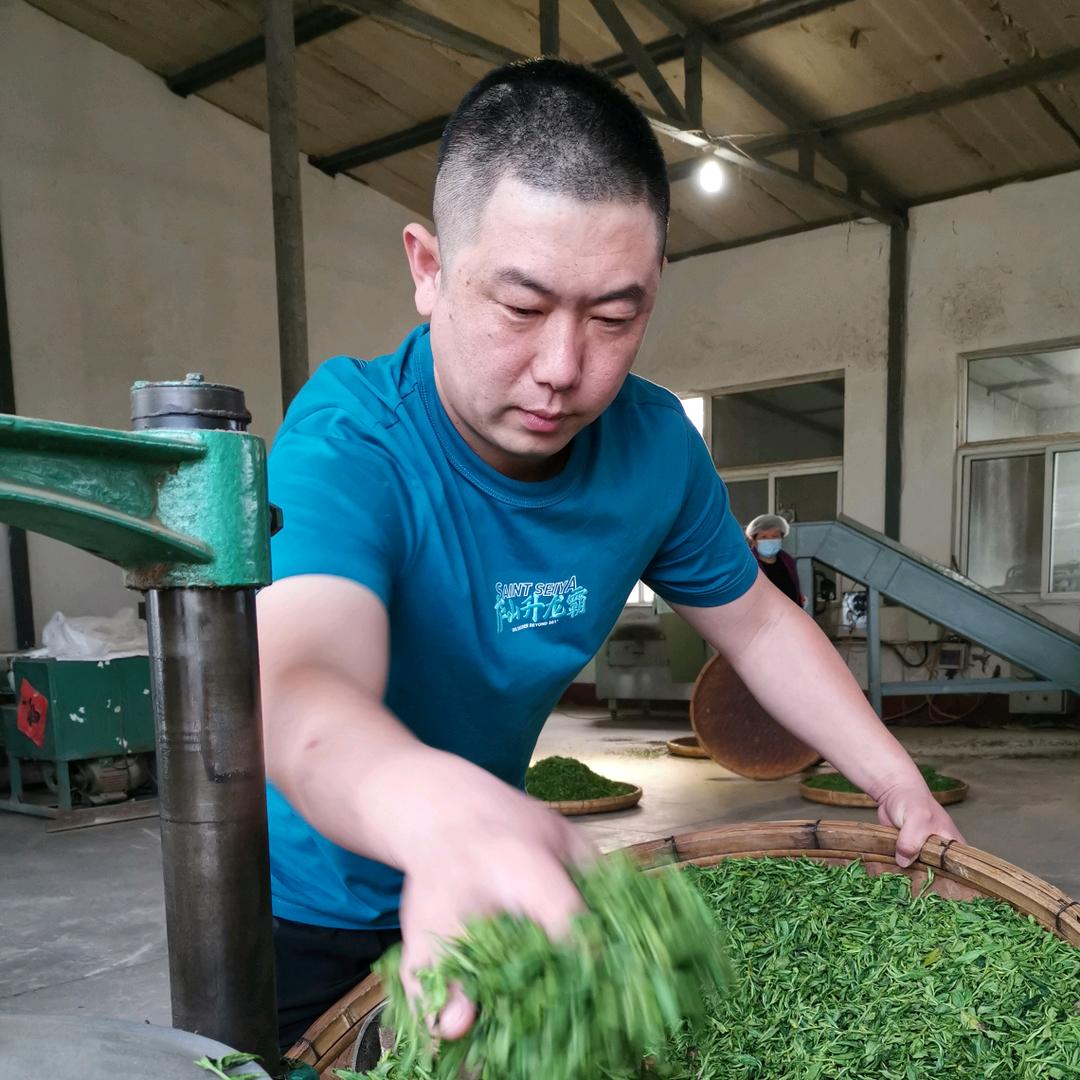 日照市东港区海河春茶叶专业合作社