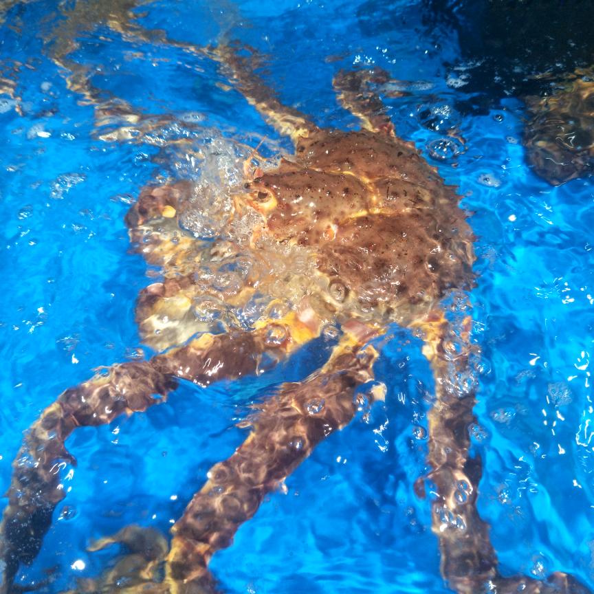 坦然