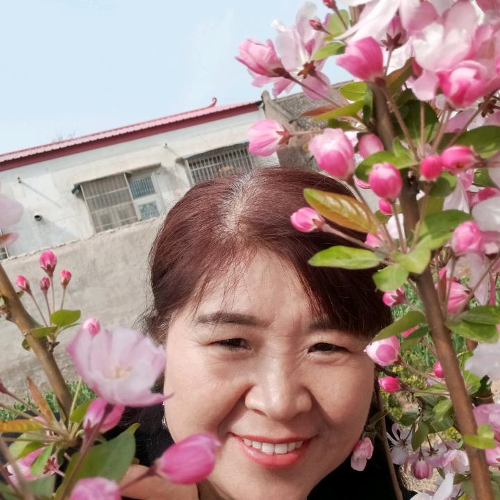 阳光明媚