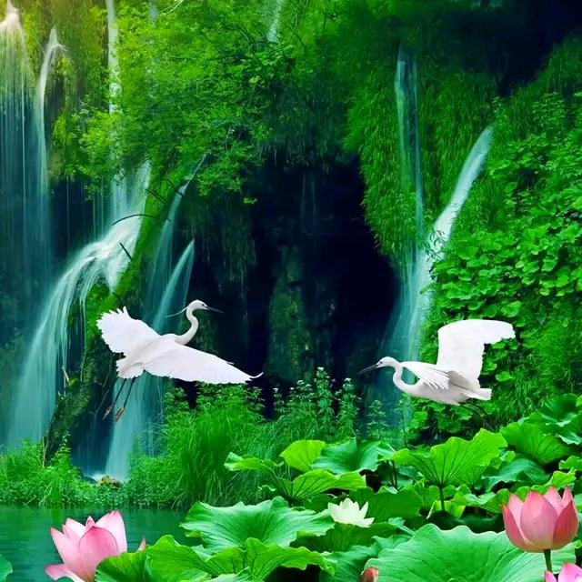 এ᭄ꦿ꯭刘先生꧔ꦿএ᭄💕