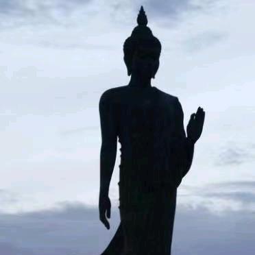 物竞天择