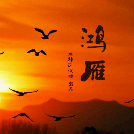 鸿雁（君）