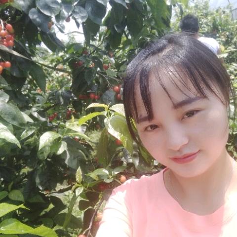 借风告白