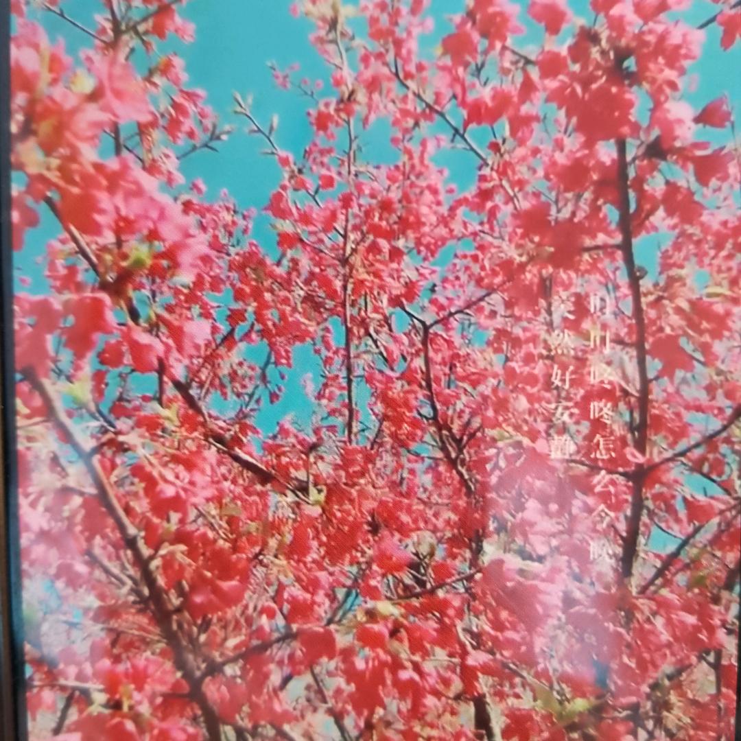 平安是福