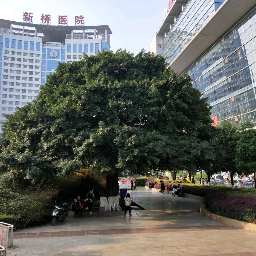 人生的幸福就是平安