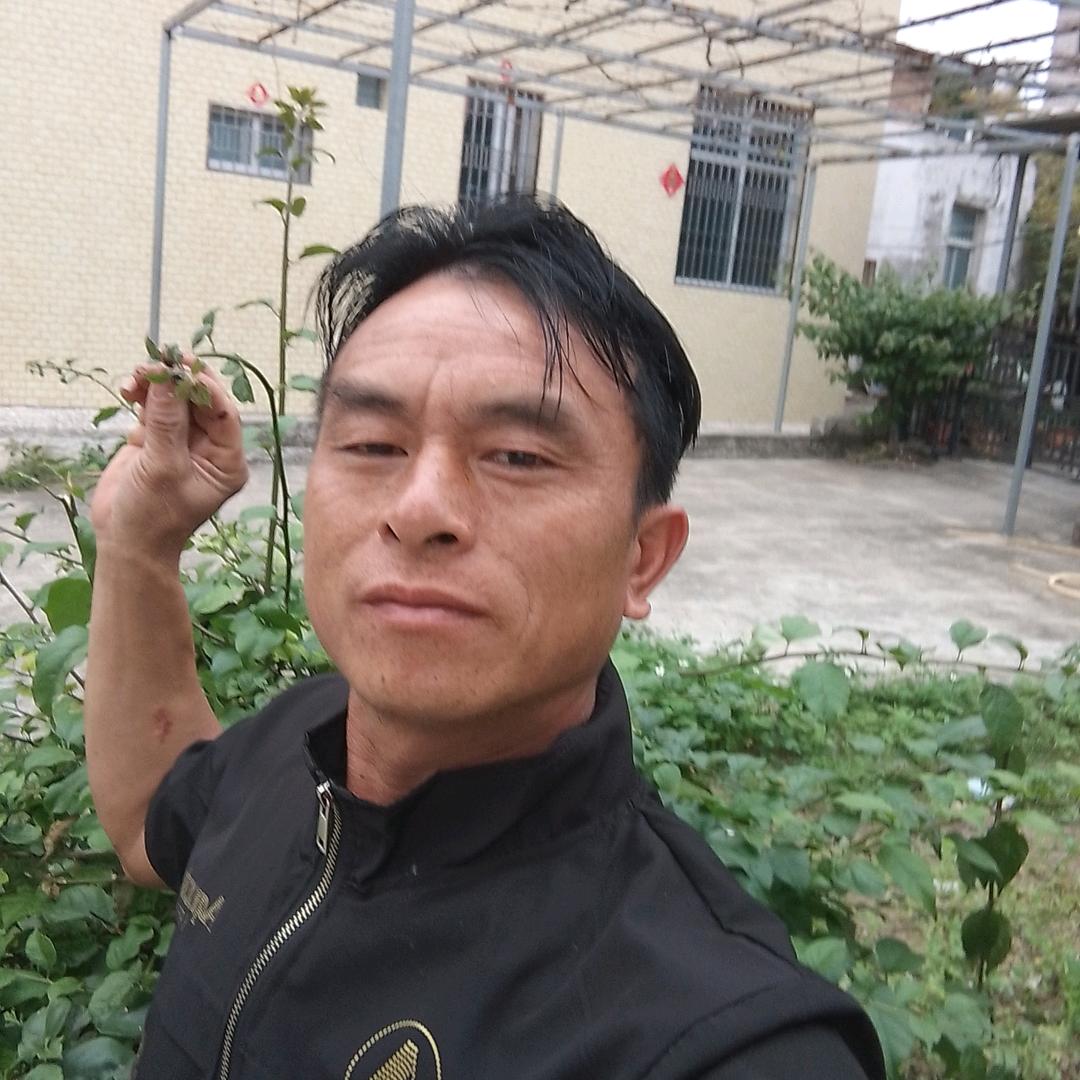 黄土歌