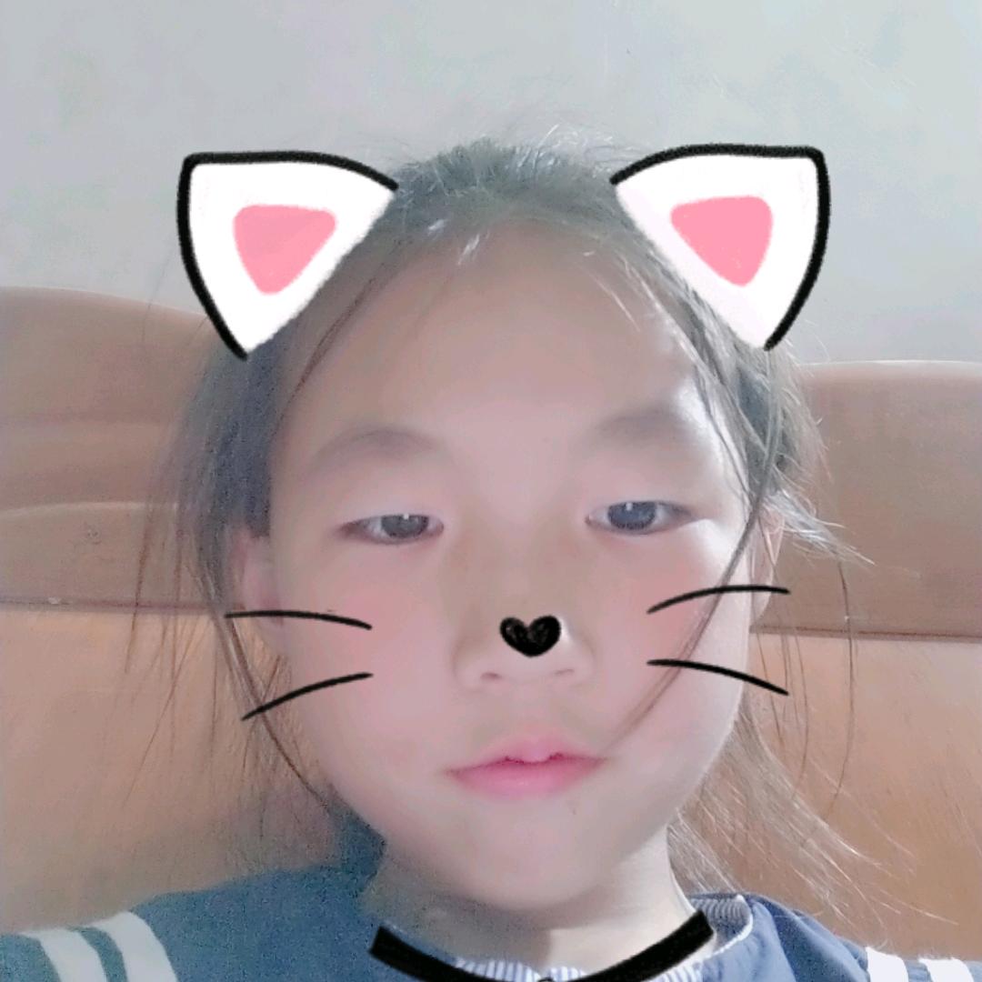 可爱的小猫🐱🐱