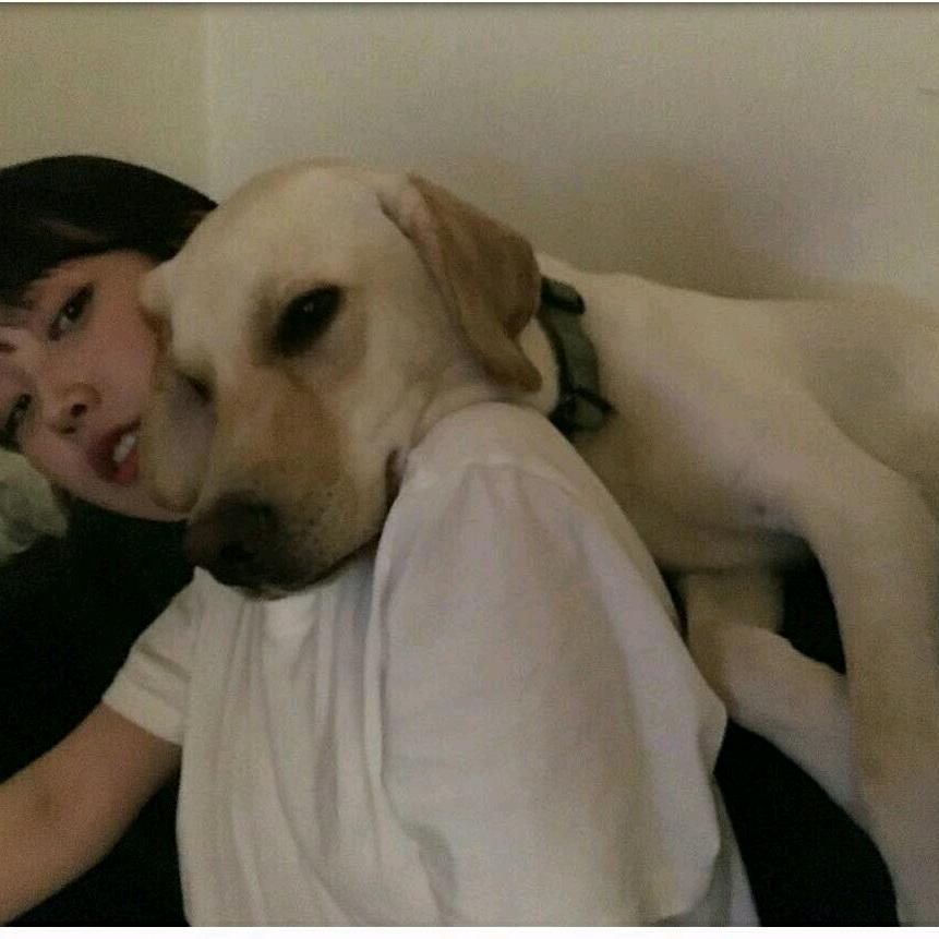 •᷄ࡇ•᷅飞鱼飞鱼