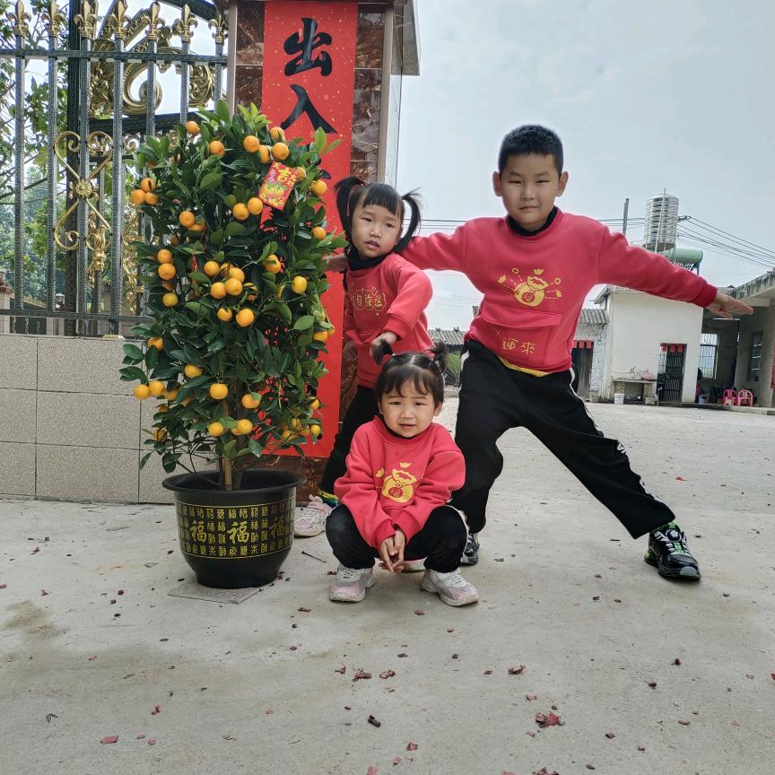 小羽羽～🌺