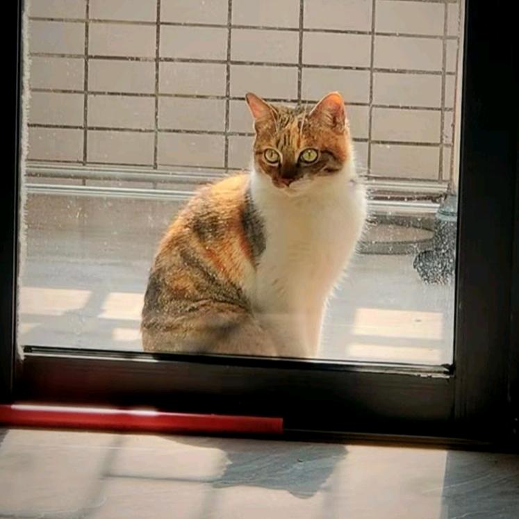 Amy