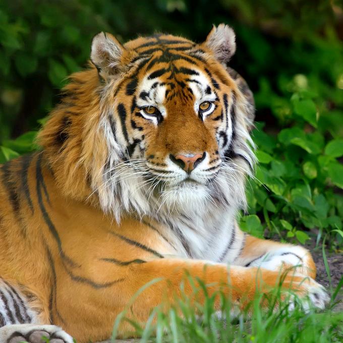 告成黄焖鸡米饭店欢迎你来品尝😍