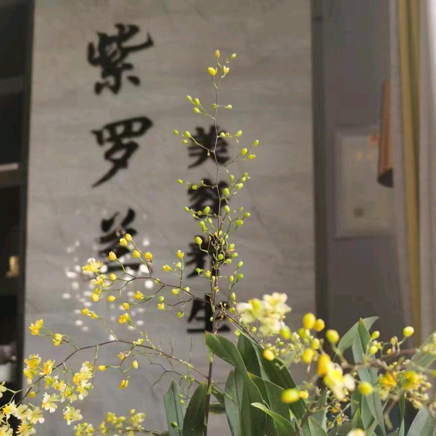 邛崃市临邛紫罗兰美容店