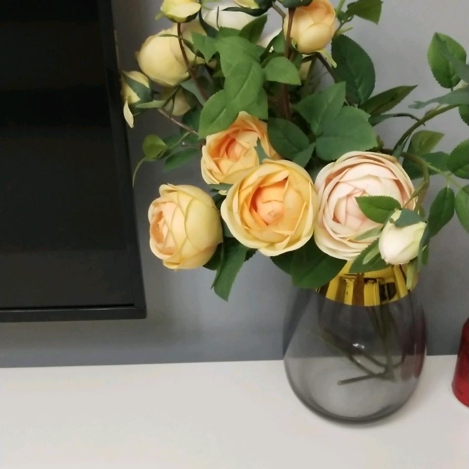 user388327077896泸州和丰