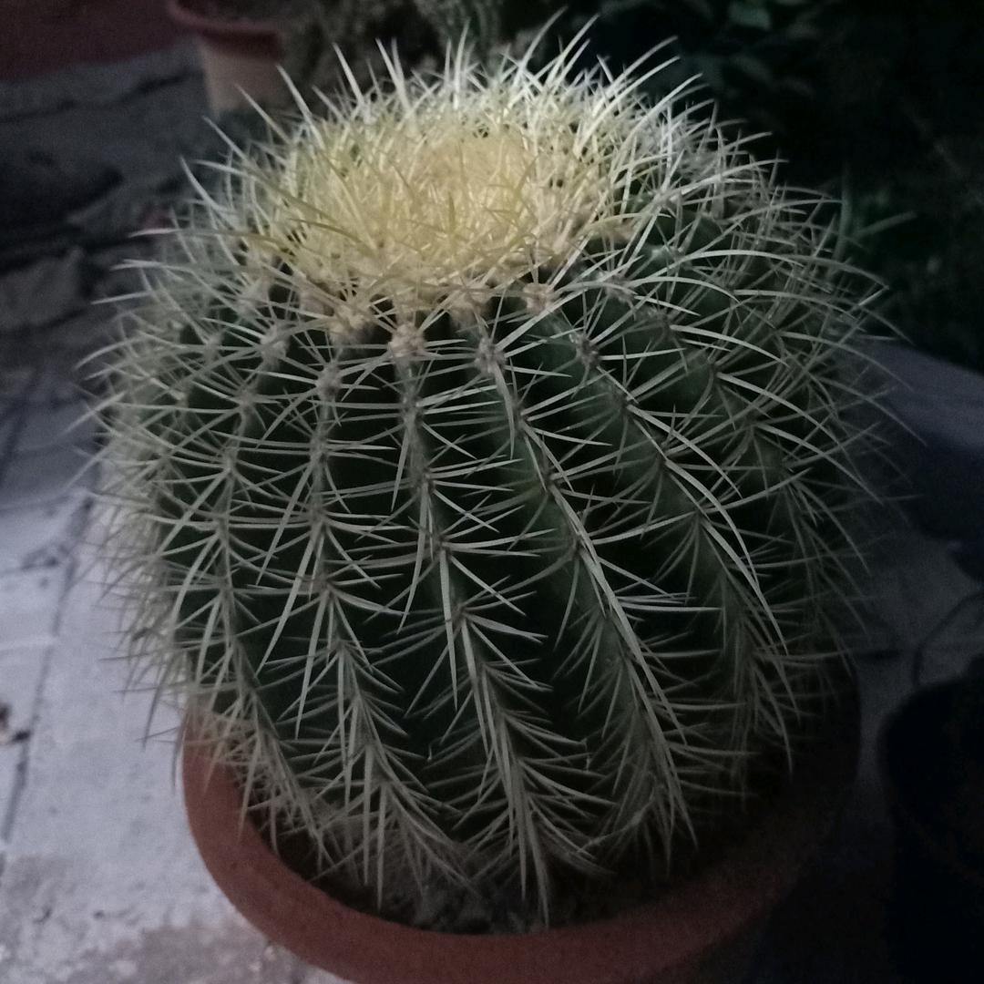回忆