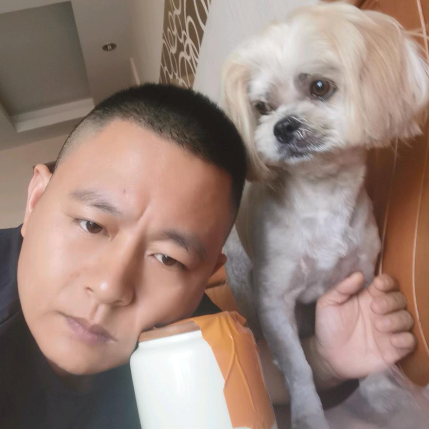 兵路🐍文明爱犬