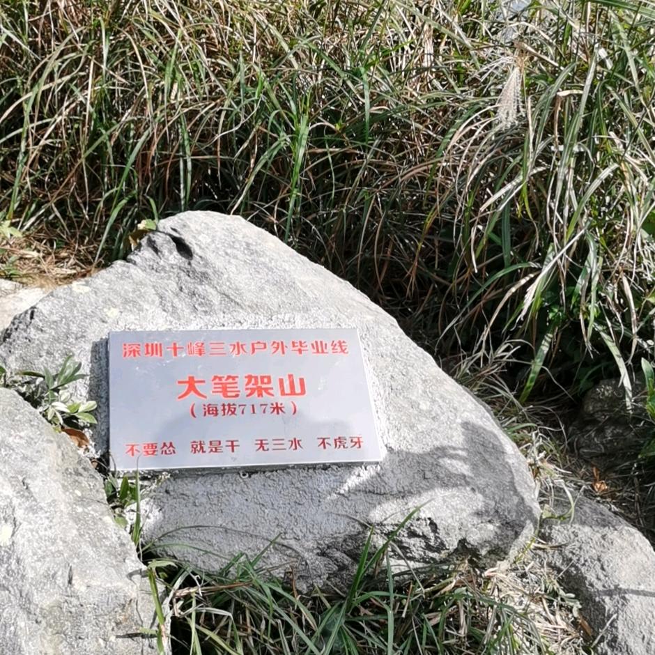 大红袍