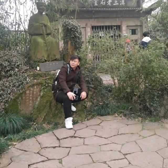 诸葛阳明
