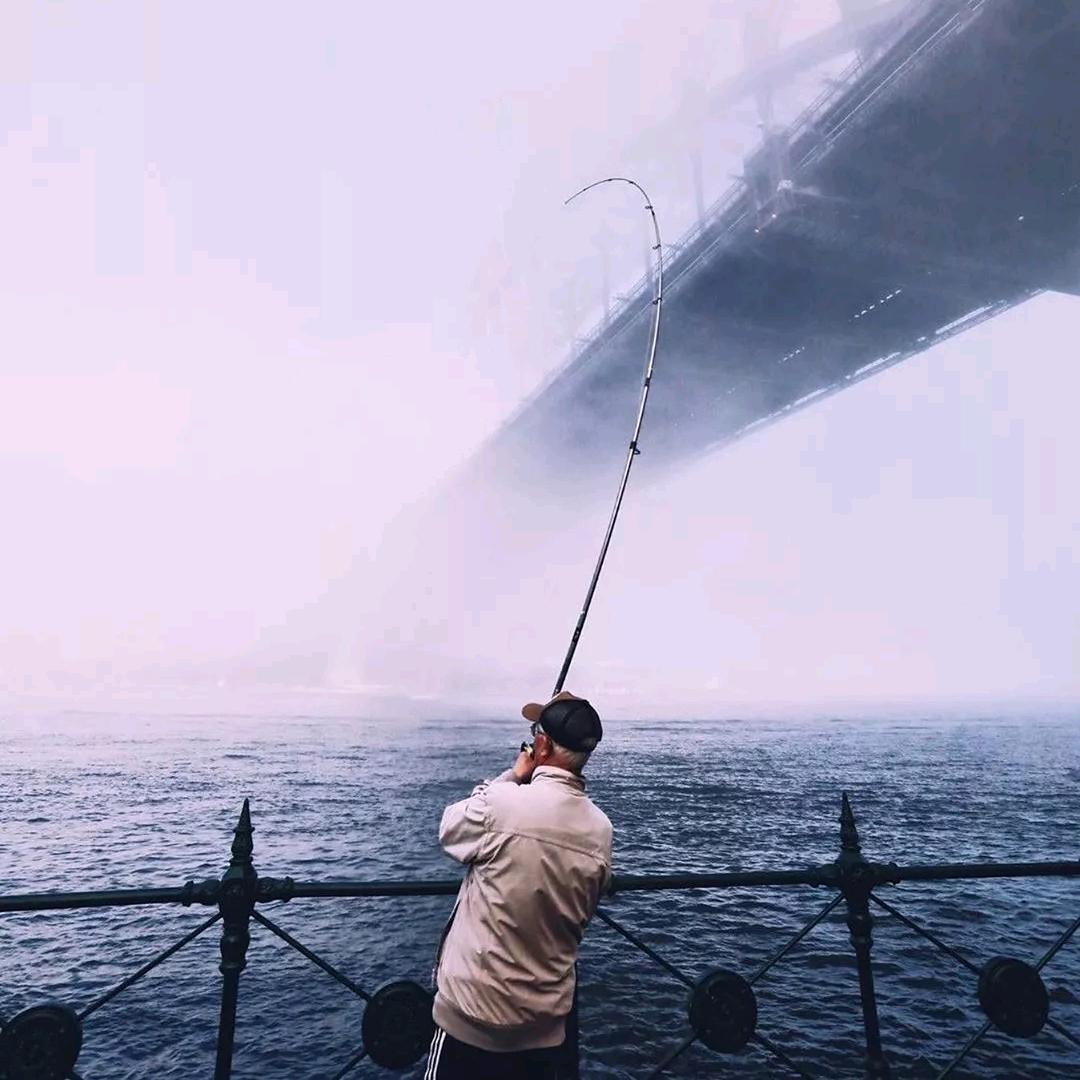 也无风雨