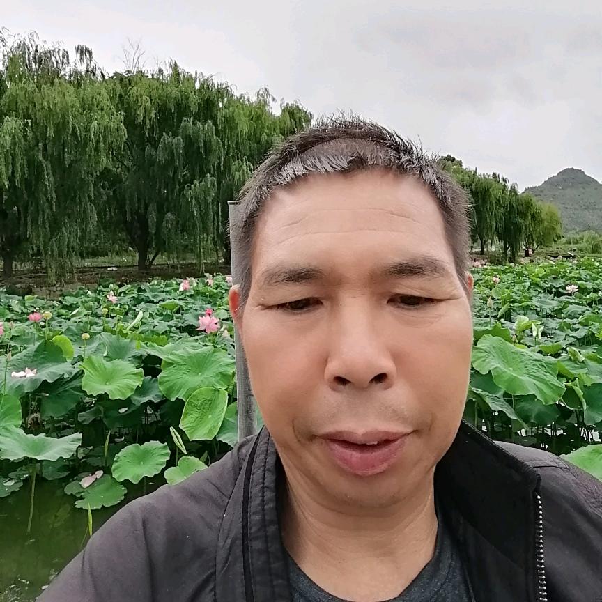 用户2848245773801