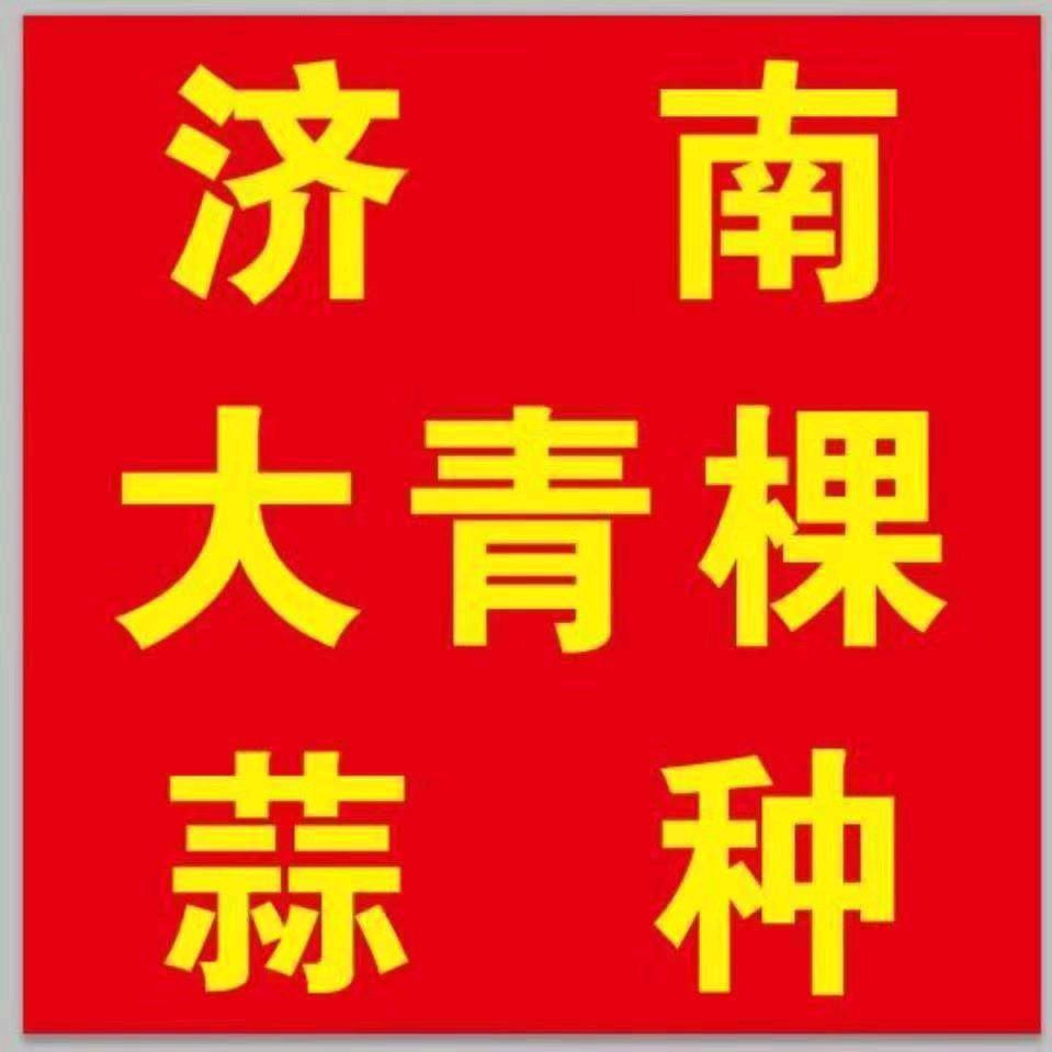 白桥内围大青稞～济南商河白桥镇豪豪蒜业