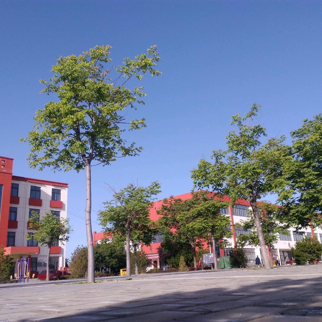 三秦娃娃影视艺术