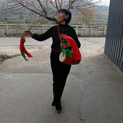 菊梅