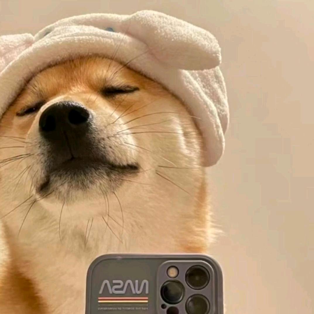 带你去抓怪兽👿