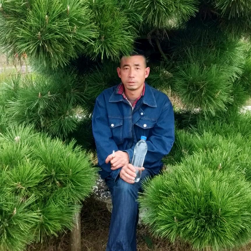 我有两个开心果