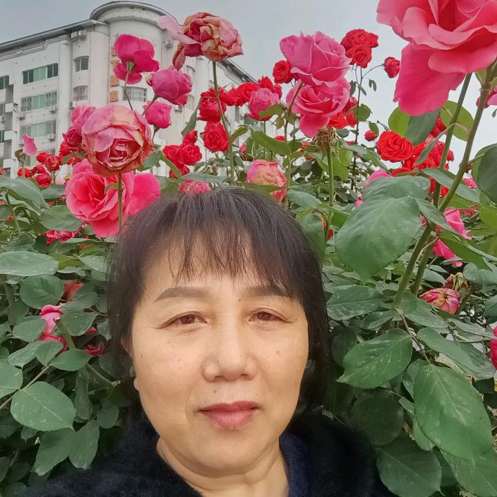 挑二姐
