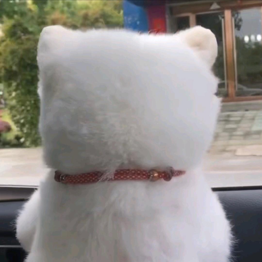 舞呜