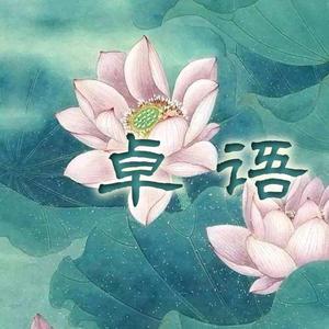 卓语红楼
