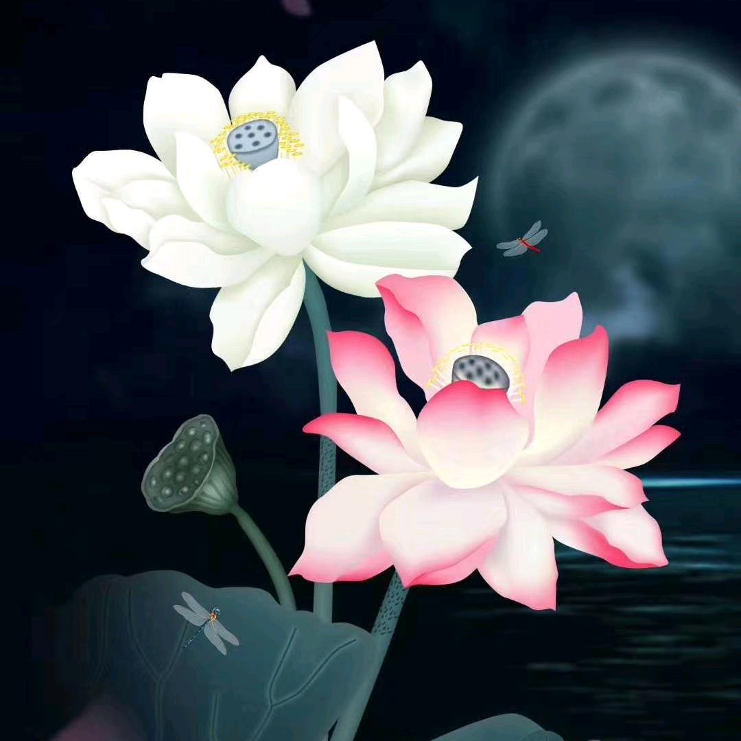 紫月幽兰～房产经纪人