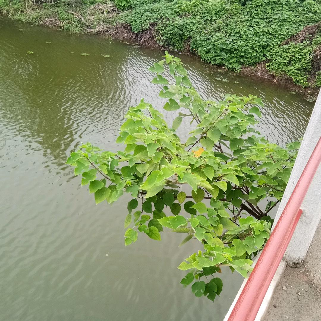 （时间里的人）