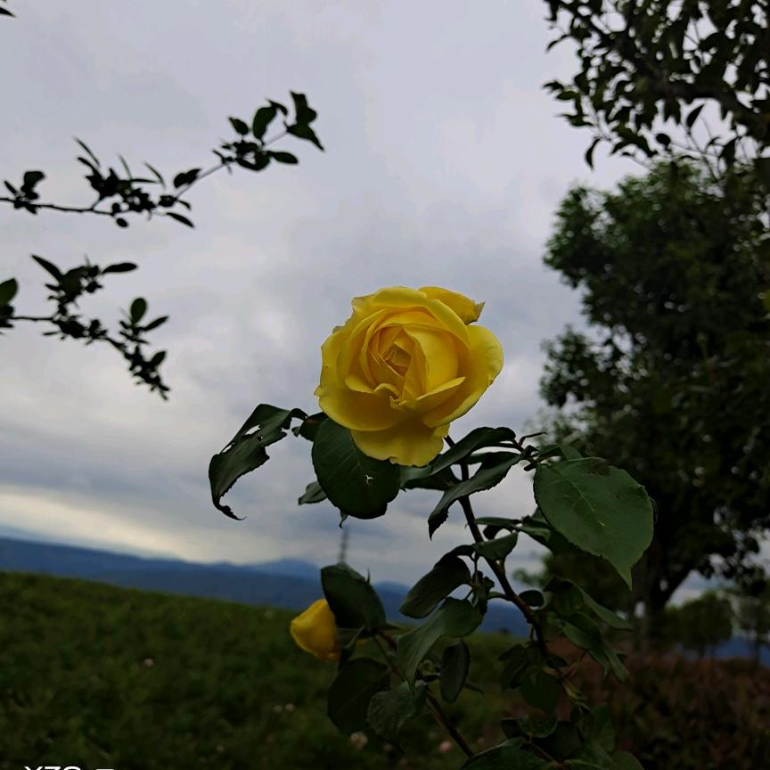 ໌ᮨ💕: 余生ᝰᩚ随心ꦿ໌ᮨ