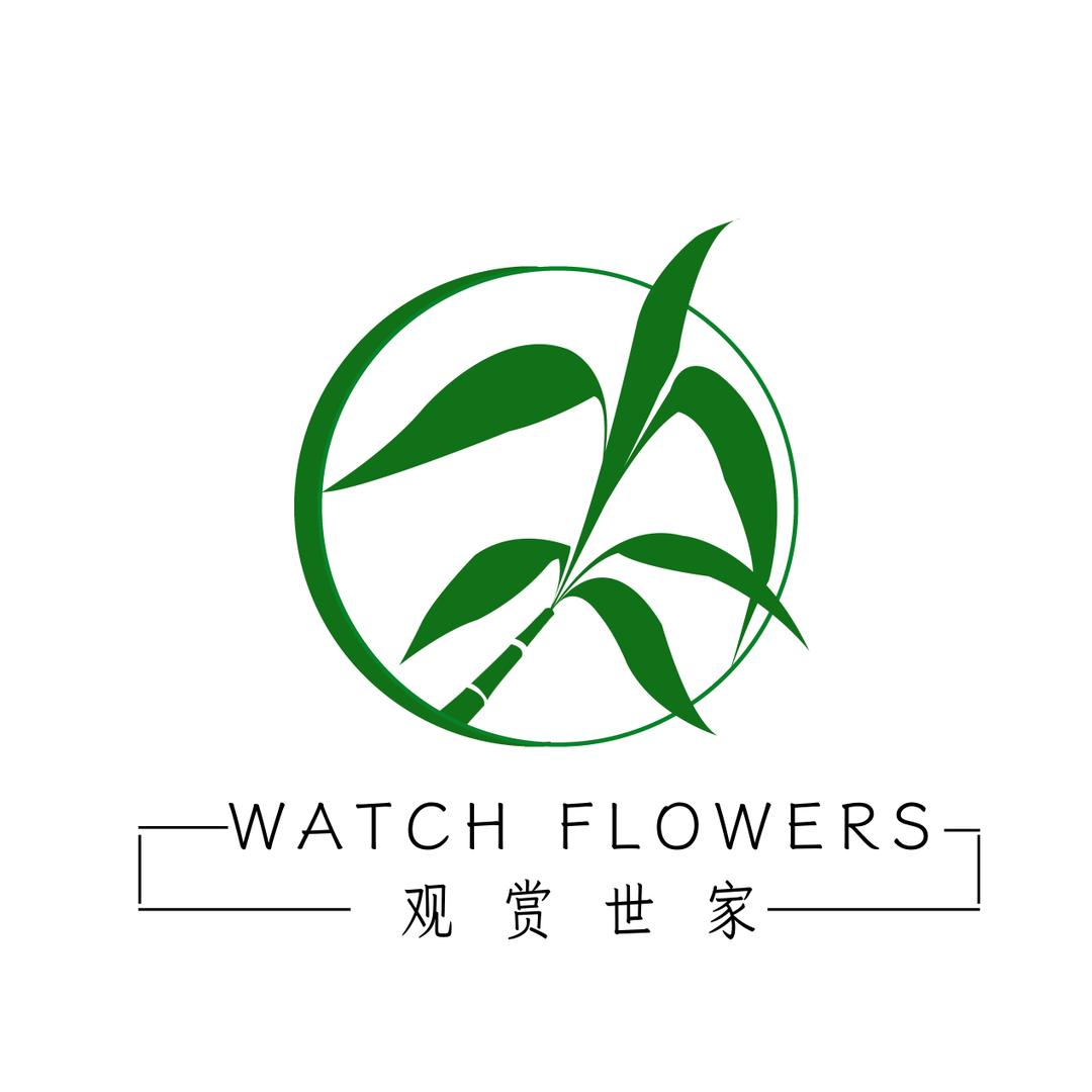 观赏世家水培绿植
