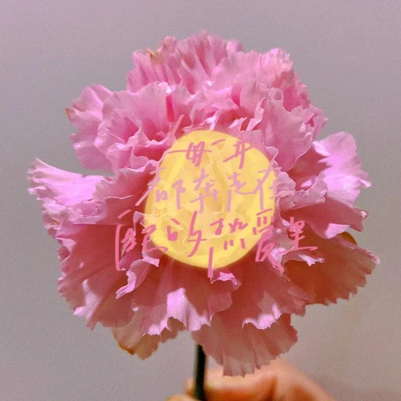 岁月静好^O^